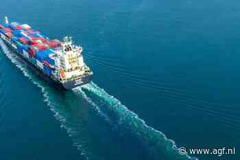 Tarieven containervaart lager, maar meer schepen wachtend voor anker