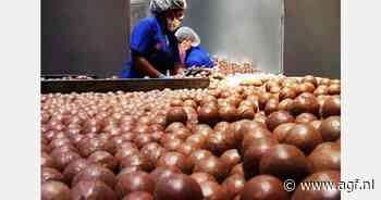 Mozambique stimuleert export van macadamia's en lychees