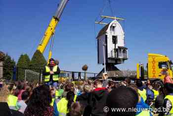 Oudste windmolen van provincie ondergaat eindelijk restauratie: “Een draaiende molen doet wat met een buurt”