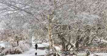 Dorset residents warned to brace for snow, ice and cold temperatures