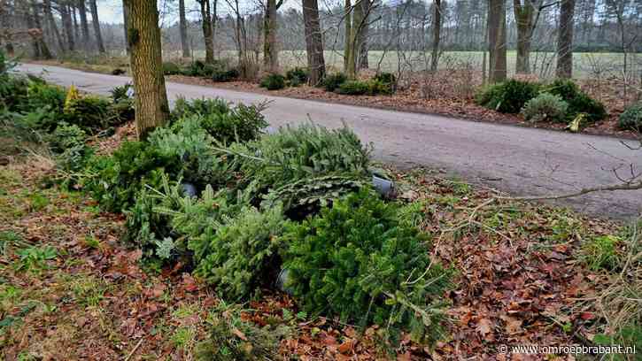 Honderd kerstbomen gedumpt, sommige met versiering en al: 'Asociaal is het'