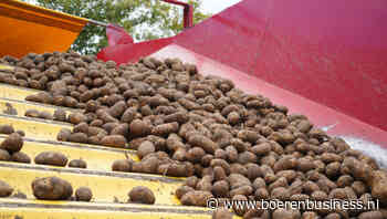 PotatoNL trapt af met fikse prijsspreiding