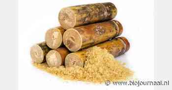 Welke gevolgen heeft de Mercosur-overeenkomst voor de biologische sector?