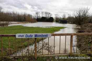 Limburgse waterlopen flirten met alarmpeil door overvloedige neerslag: “Zijn zeer waakzaam”