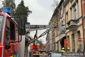 Lindeboom valt tegen restaurant door stormweer in Mortsel, straat afgesloten