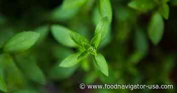 Natural Sweetener Alliance aims to ‘democratize’ sweeteners