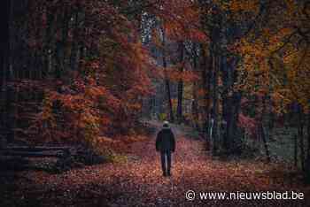 Truienaar (64) krijgt 15 maanden omdat hij naaktfoto’s van mannen met erectie op wandelpaden en kerkhof legt