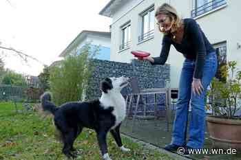 Der Hund als Scheidungsopfer