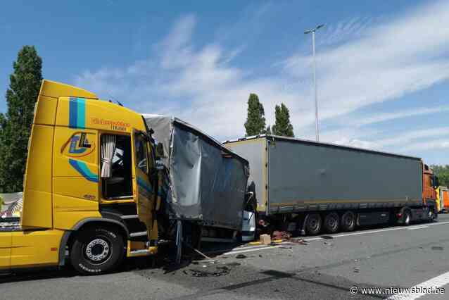 Roemeense trucker (45) die Poolse collega doodreed, veroordeeld tot celstraf met uitstel: “Als ik kon, zou ik wisselen van plaats”