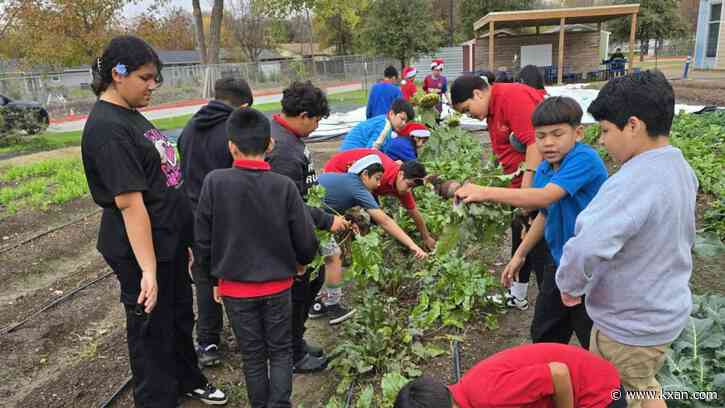 Young gardeners planting seeds of success at IDEA Rundberg