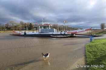 Veerpont wegens storm en drijvende bomen door de Maas niet actief: ook gierboten geraakt