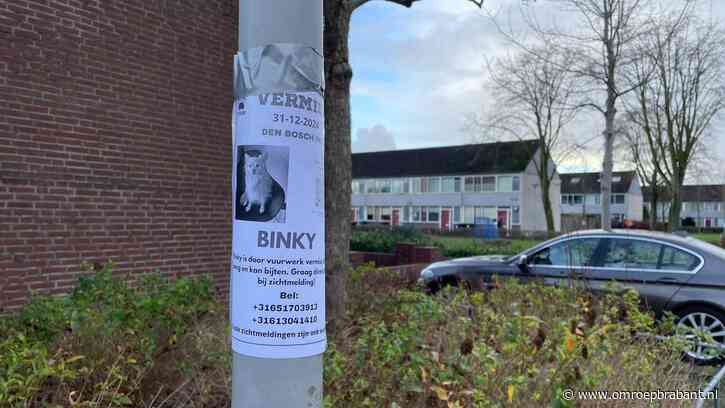 Hondje Binky nog altijd vermist, baasje Mandy wordt lastiggevallen