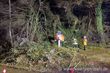 Sturmböen fegen über OWL und das Münsterland