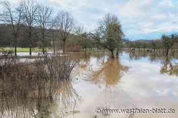 Schneeschmelze und Dauerregen: Flüsse im Kreis Höxter führen Hochwasser