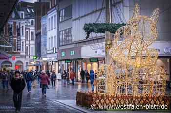 Leucht-Eichhörnchen verschwindet vom Jahnplatz