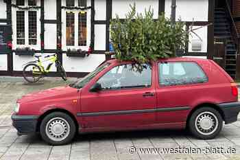 Demag tauscht in Delbrück Weihnachtsbäume gegen Einkaufsgutscheine