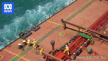 'Modern slavery': Seafarers face stolen pay, limited food, dirty water