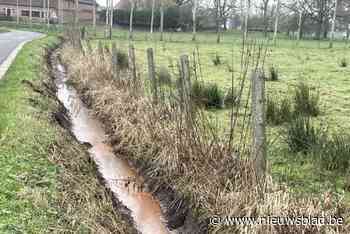 IJzerbacterie kleurt water in grachten aan Rendries: “Een natuurlijk en ongevaarlijk verschijnsel”