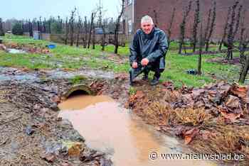 Wateroverlast kan nefast zijn voor perenbomen van Ludo: “Al 30 jaar een probleem”
