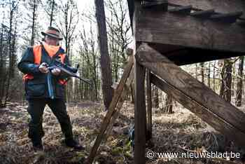 Everzwijnen zijn aan stevige opmars bezig: nog maar 8 Limburgse gemeenten lijken everzwijnenvrij