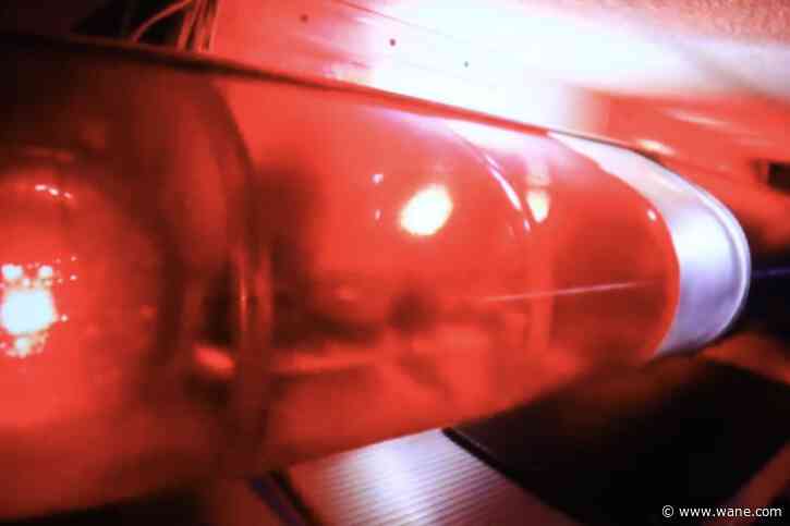 2 people, 2 dogs rescued from house fire