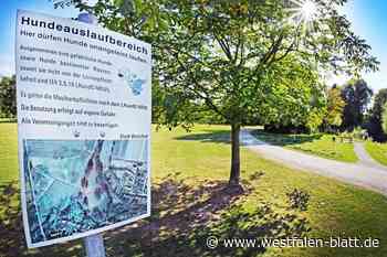 SPD will eingezäunte Hundewiesen in Bielefeld