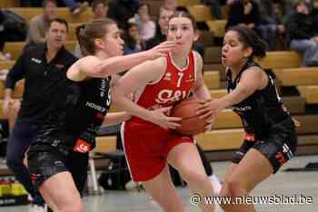 Kortrijk Spurs opent het nieuwe jaar met ietwat onverwachte nederlaag in Waregem: “We speelden niet onze beste wedstrijd”