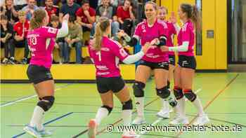 Faustball Champions Cup: Pink Ladies nicht zu schlagen