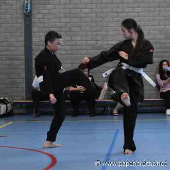 Yin & Yang Kemposchool Papendrecht