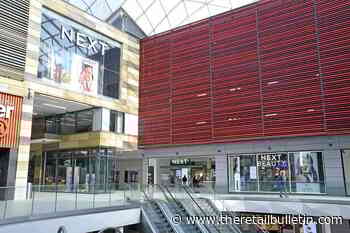 Next raises profit guidance but warns that UK growth will slow