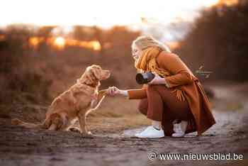 Geelse Maura opent studio voor hondenfotografie: “Voor veel mensen is een hond hun kindje”