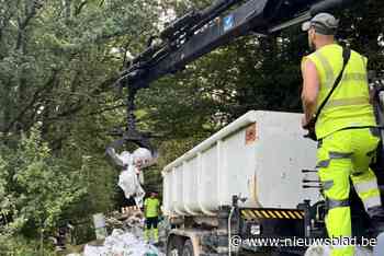 Intercommunales boeken sterke resultaten in strijd tegen sluikstorten: “Bewijs dat onze aanpak werkt”