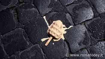 Roma ChilometroZero, incontro con gli autori al Museo di Roma in Trastevere