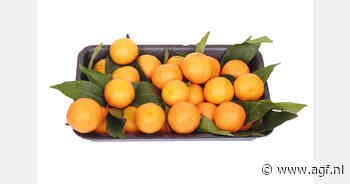 Positieve balans Peruaanse citrusexport 2024