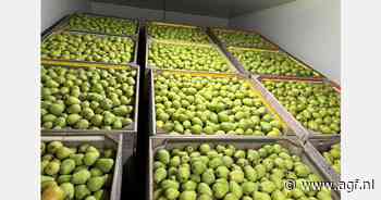 "De stelregel dat een kleiner aanbod automatisch tot een hogere prijs leidt, is niet meer vanzelfsprekend"