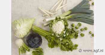 "Preimarkt herstelt zich weer in de eerste weken van het nieuwe jaar"