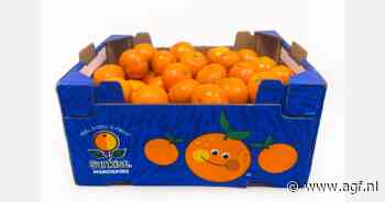 Marokkaanse Nadorcott onder merk Sunkist bij Aartsen