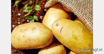 Zuid-Afrikaanse aardappelsector veerkrachtig dankzij gespreide teelt