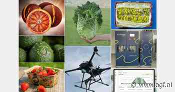 Genomineerden voor de FLIA 2025 bekendgemaakt