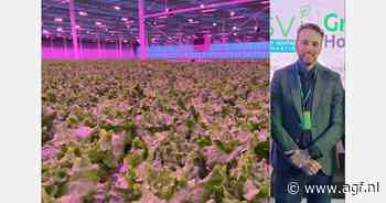 Van slamarkt op slot naar krapte als kans voor slateelt op water