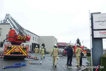 Brand in leegstaande gebouwen van vleesgroothandel Tradelio: schade blijft beperkt