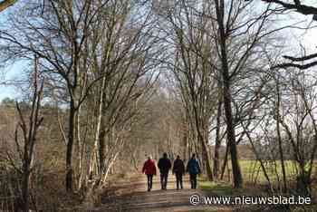 Dienst Toerisme organiseert winterse wandelzoektocht tussen Ramsel en Houtvenne