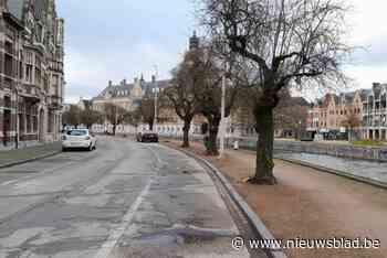 Kerselaars Koningin Astridlaan geveld, hout wordt hergebruikt voor zitbanken