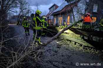 Sturmtief „Bernd“: Baum stürzt auf Auto – zahlreiche Feuerwehreinsätze