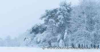 BCP hour-by-hour forecast ahead of January 2025 snow weather warning