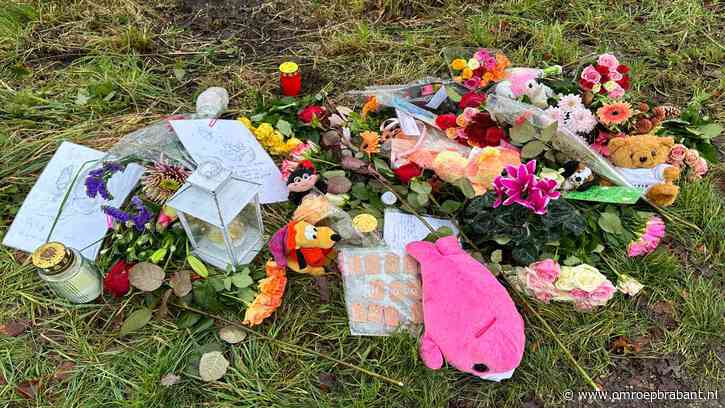 Vuilniswagenchauffeur, die meisje doodreed, was onder invloed van drugs