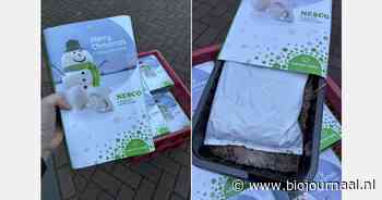 "Alleen maar blije gezichten"