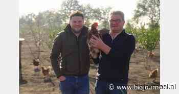 Kipfilet zonder dat er een vleeskip aan te pas komt