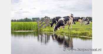 Water wordt schoner, maar er zijn nog grote uitdagingen