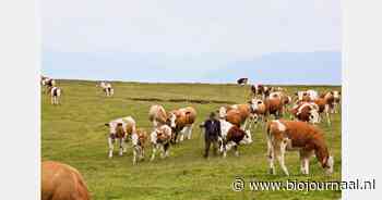 Bio Austria vraagt toekomstige regering om pakket maatregelen voor bio-landbouw